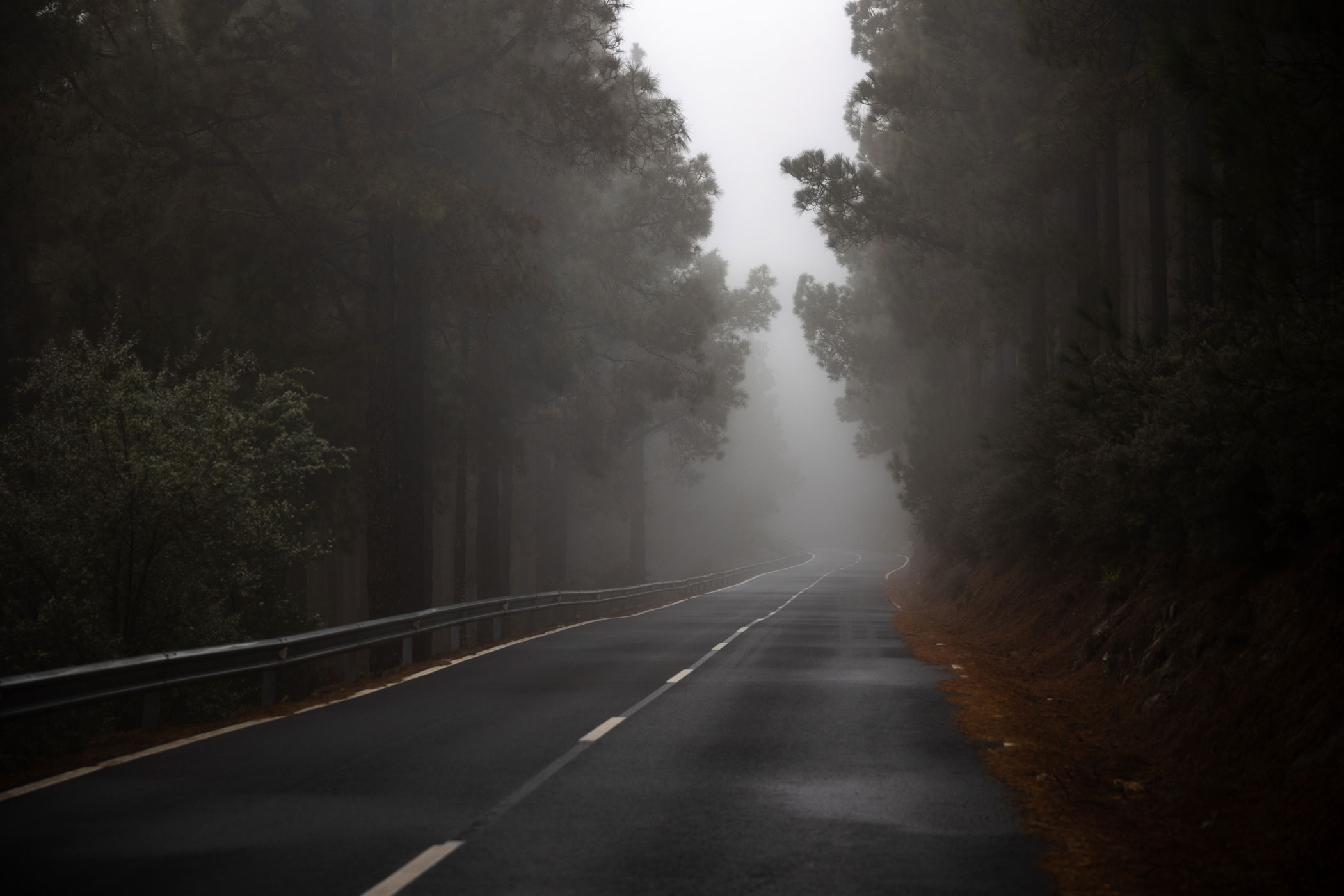 2024_02_28_Outer-Detours---day-5-(Gran-Canaria)-3671