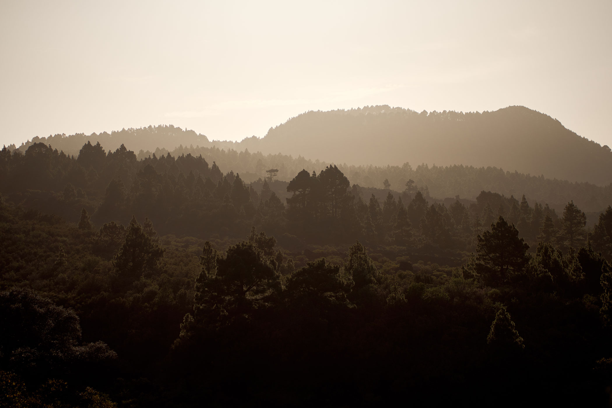 @matminelli_7C_03145