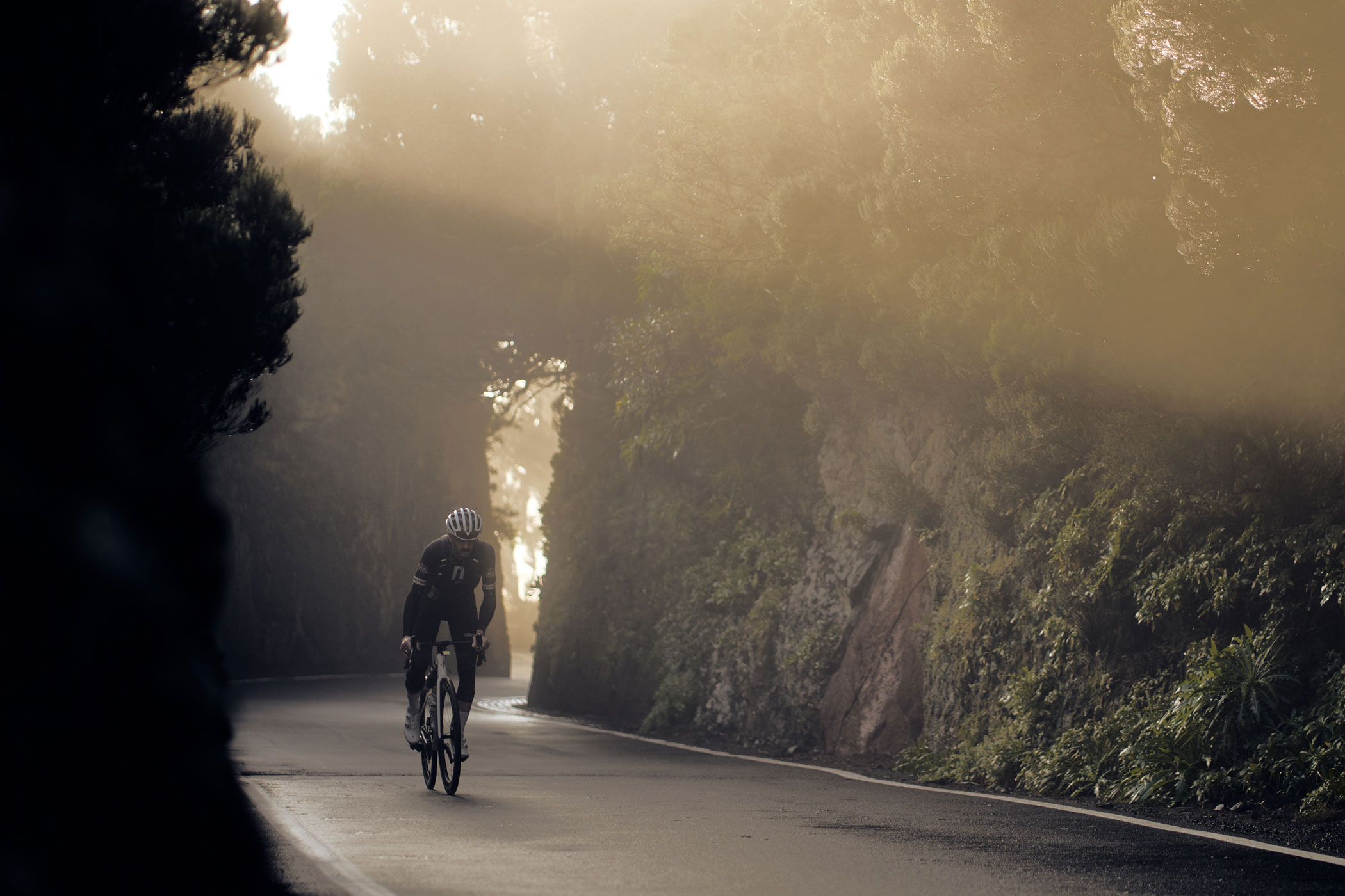 @matminelli_7C_06299_BG