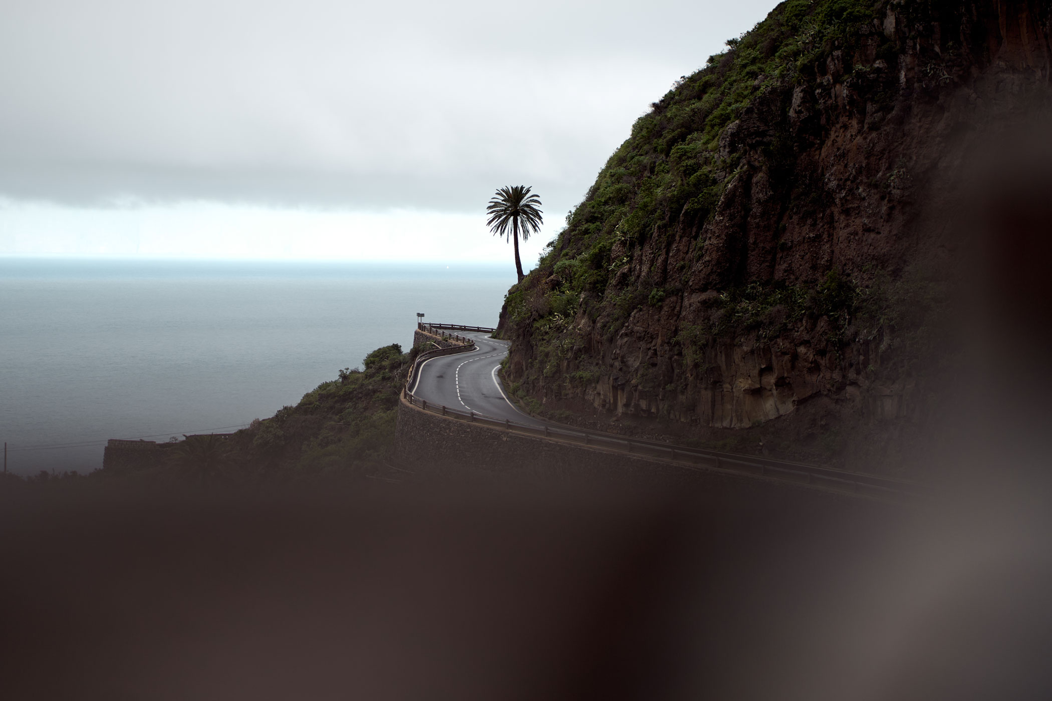 @matminelli_7C_06537