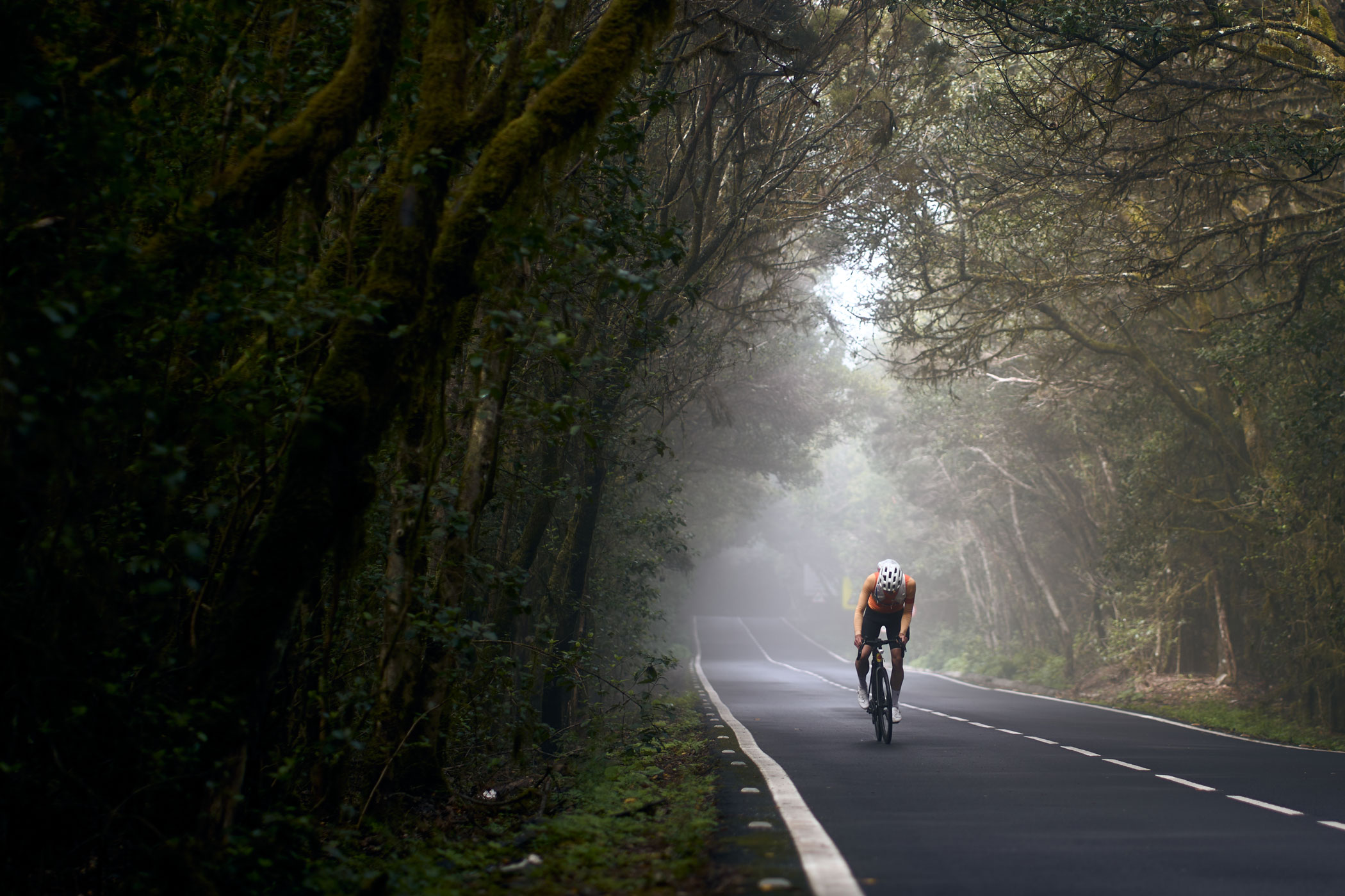 @matminelli_7C_06737