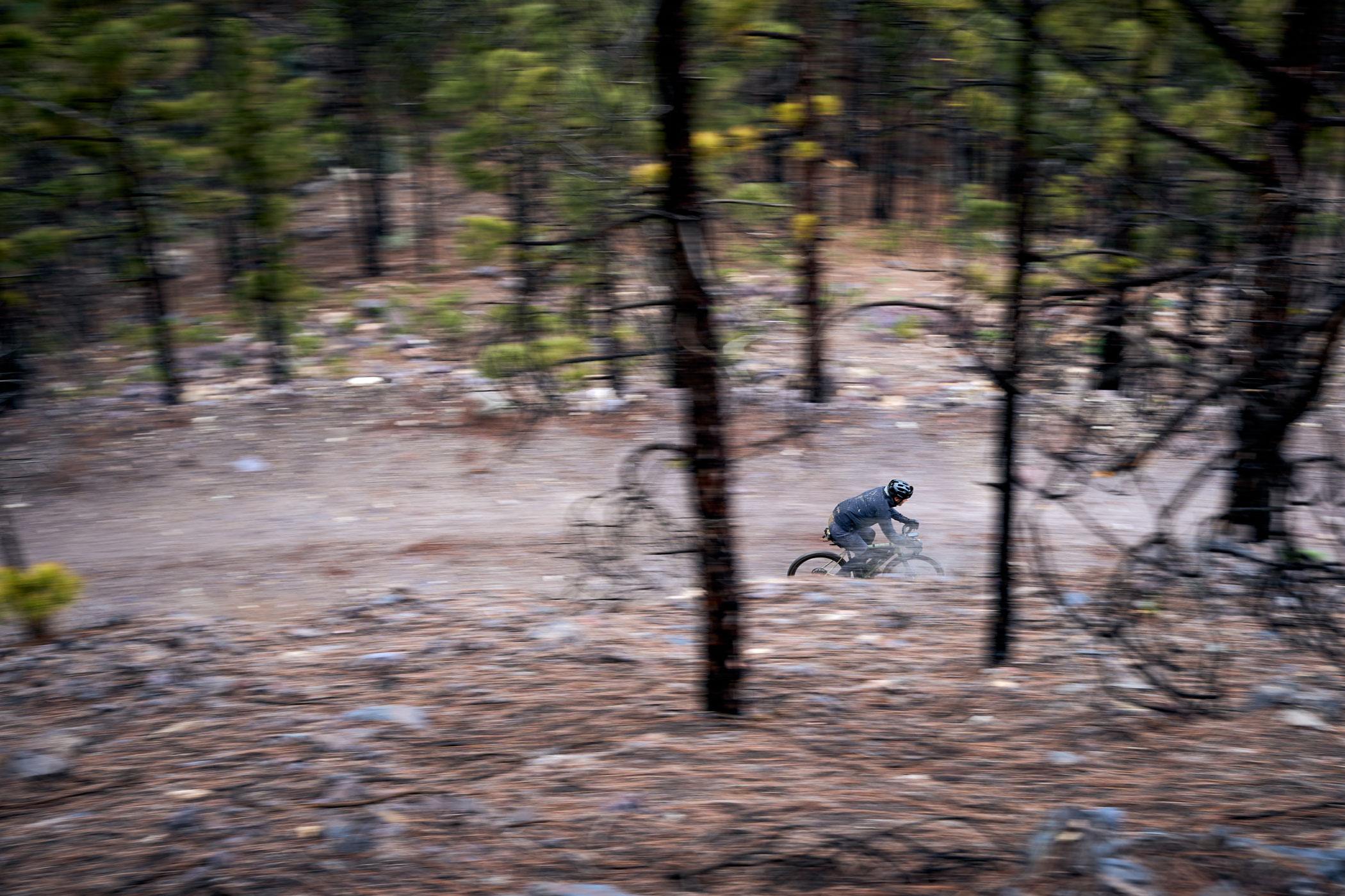 @matminelli_7C_08658