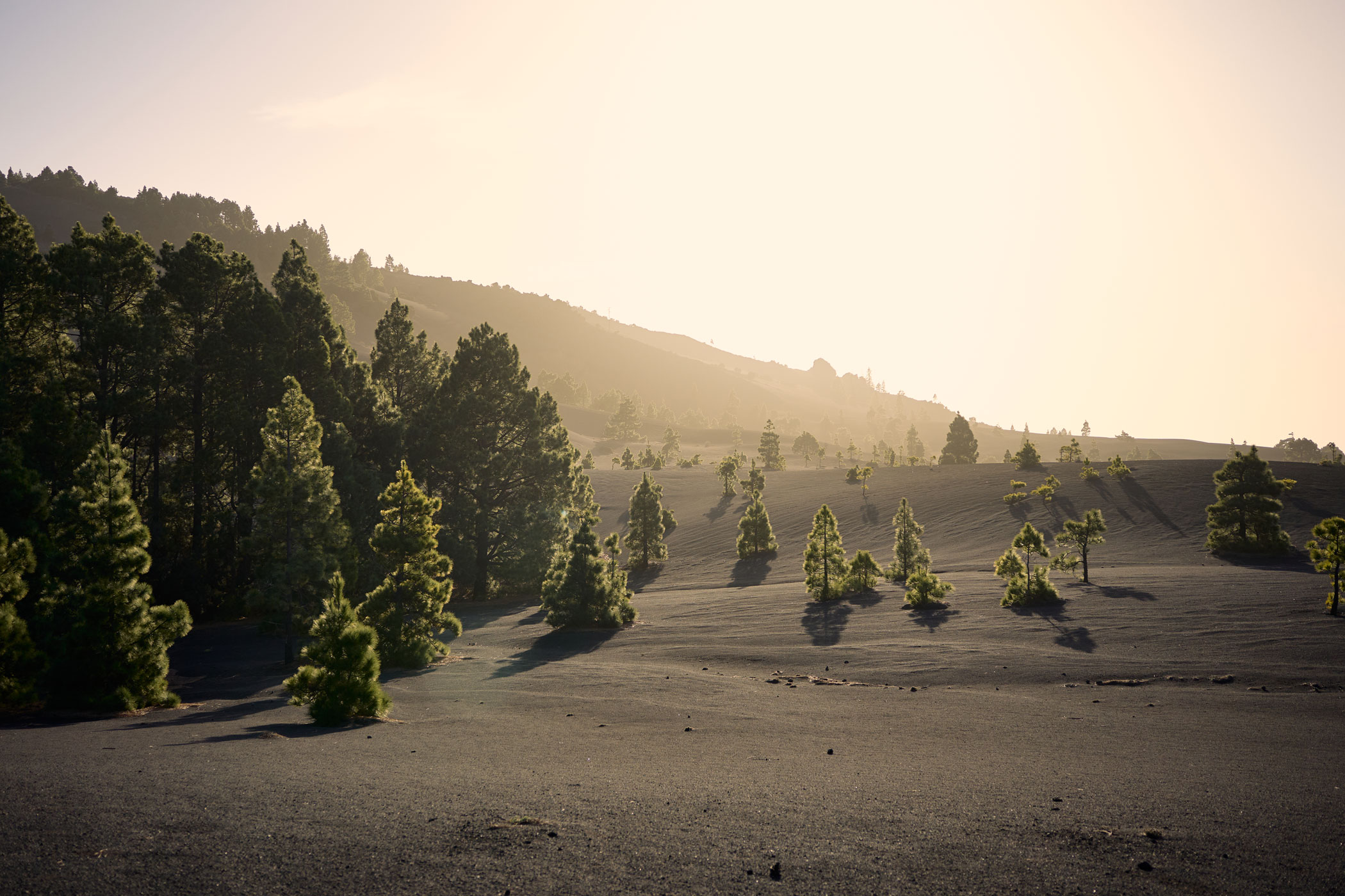 @matminelli_A7_00289