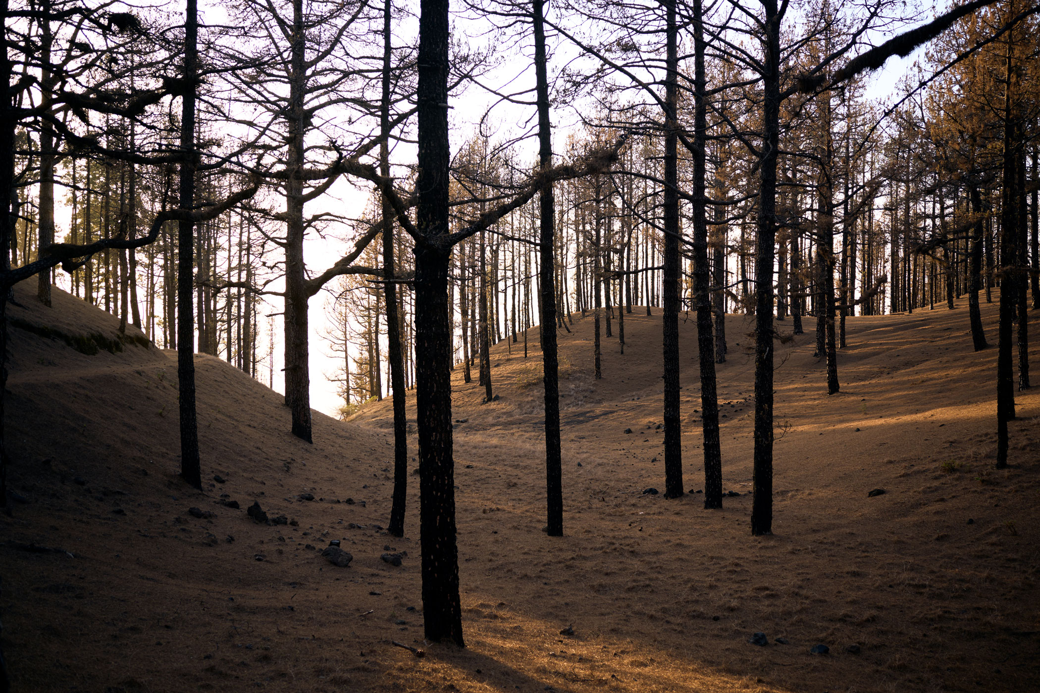 @matminelli_A7_00309