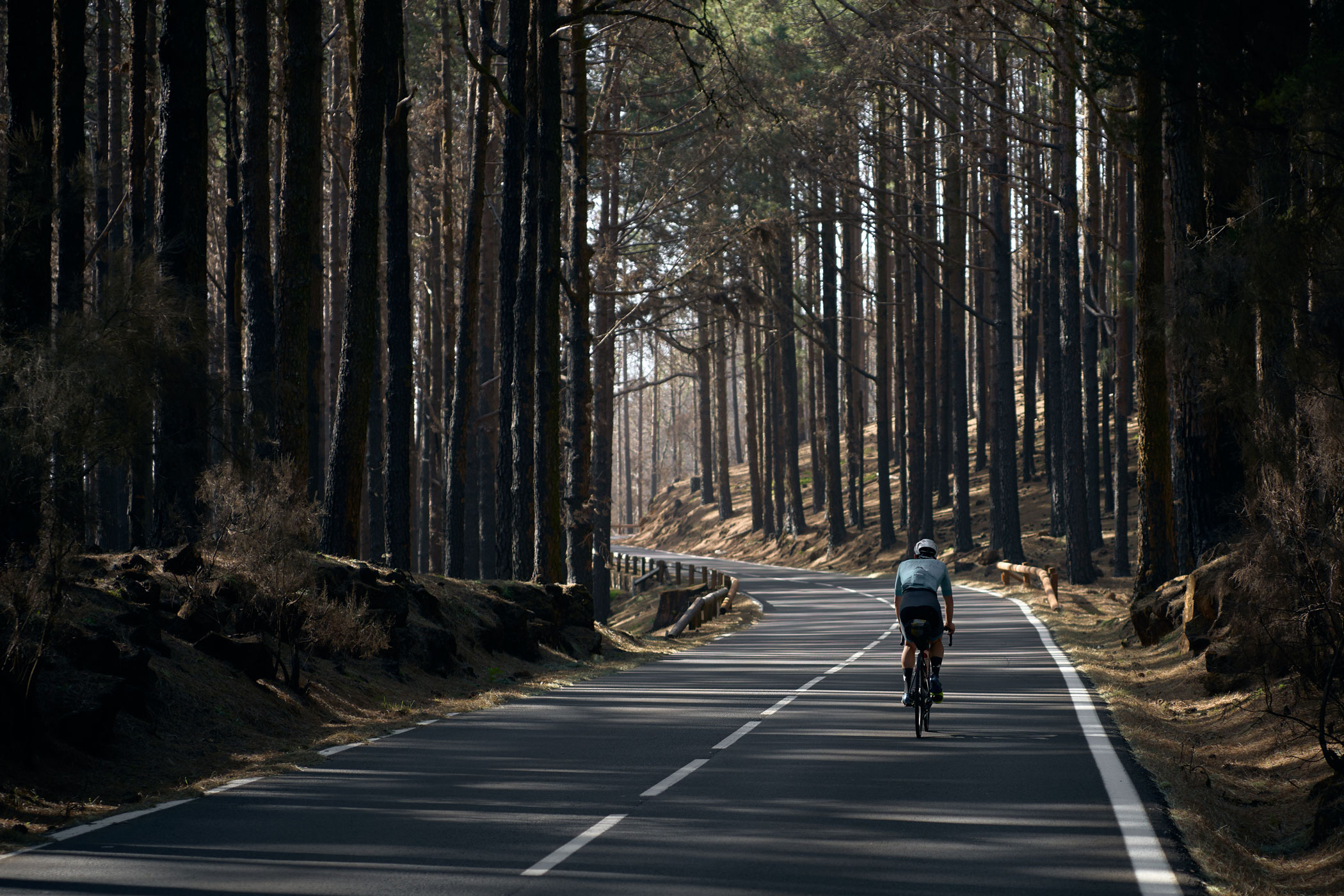 @matminelli_A7_04187