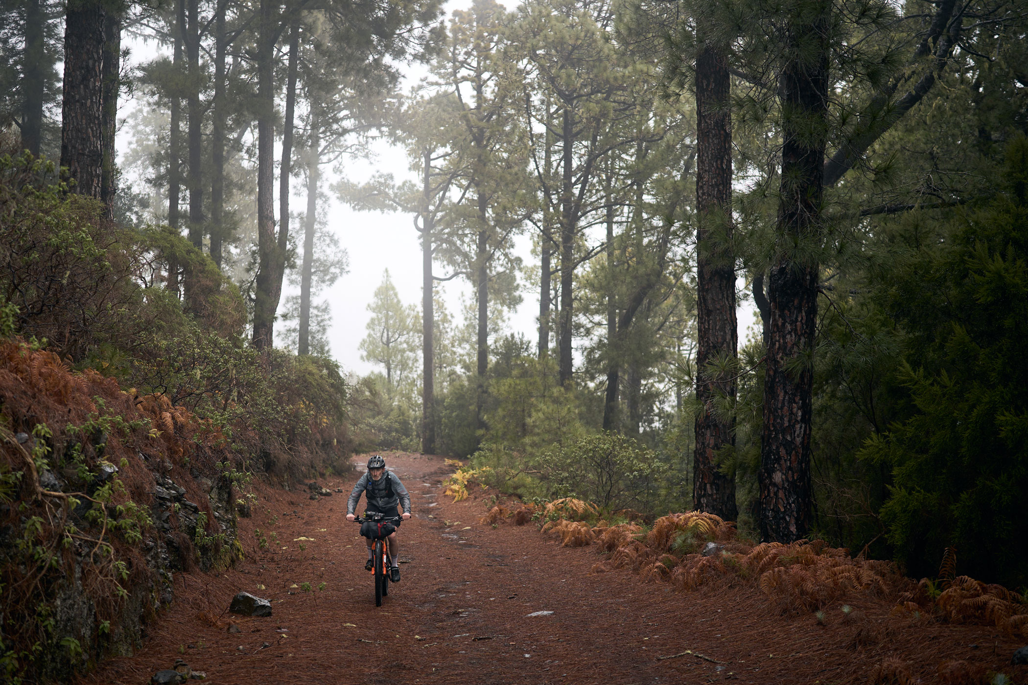 @matminelli_A7_07355