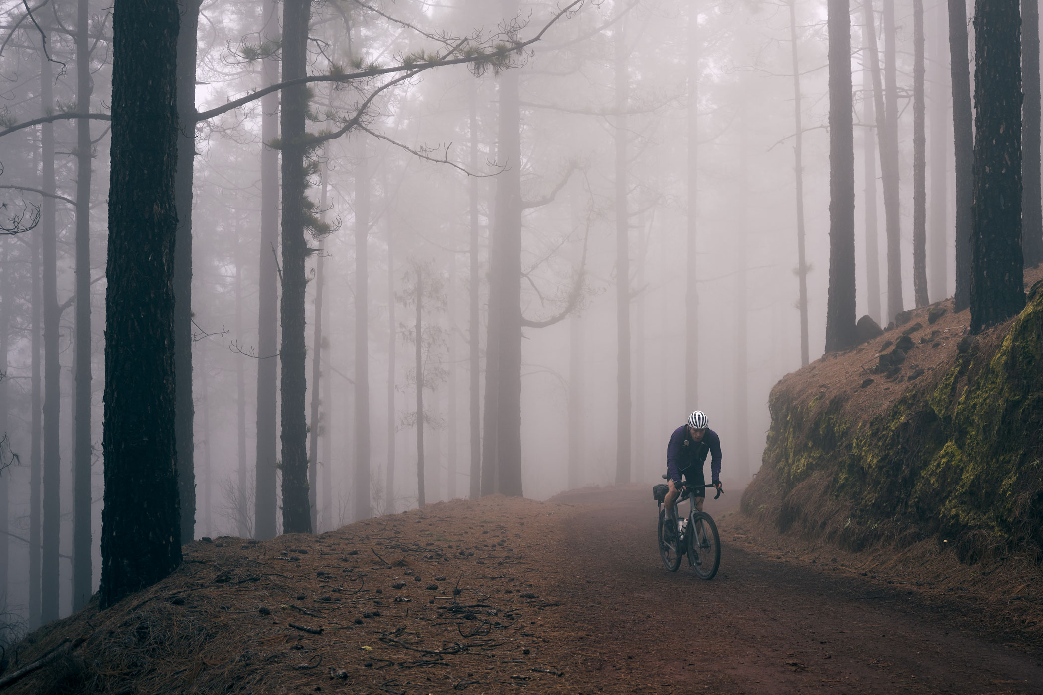 @matminelli_A7_07861