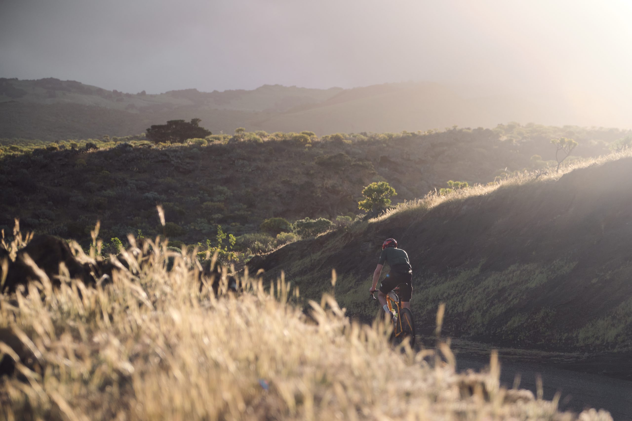 @matminelli_MMXT6913