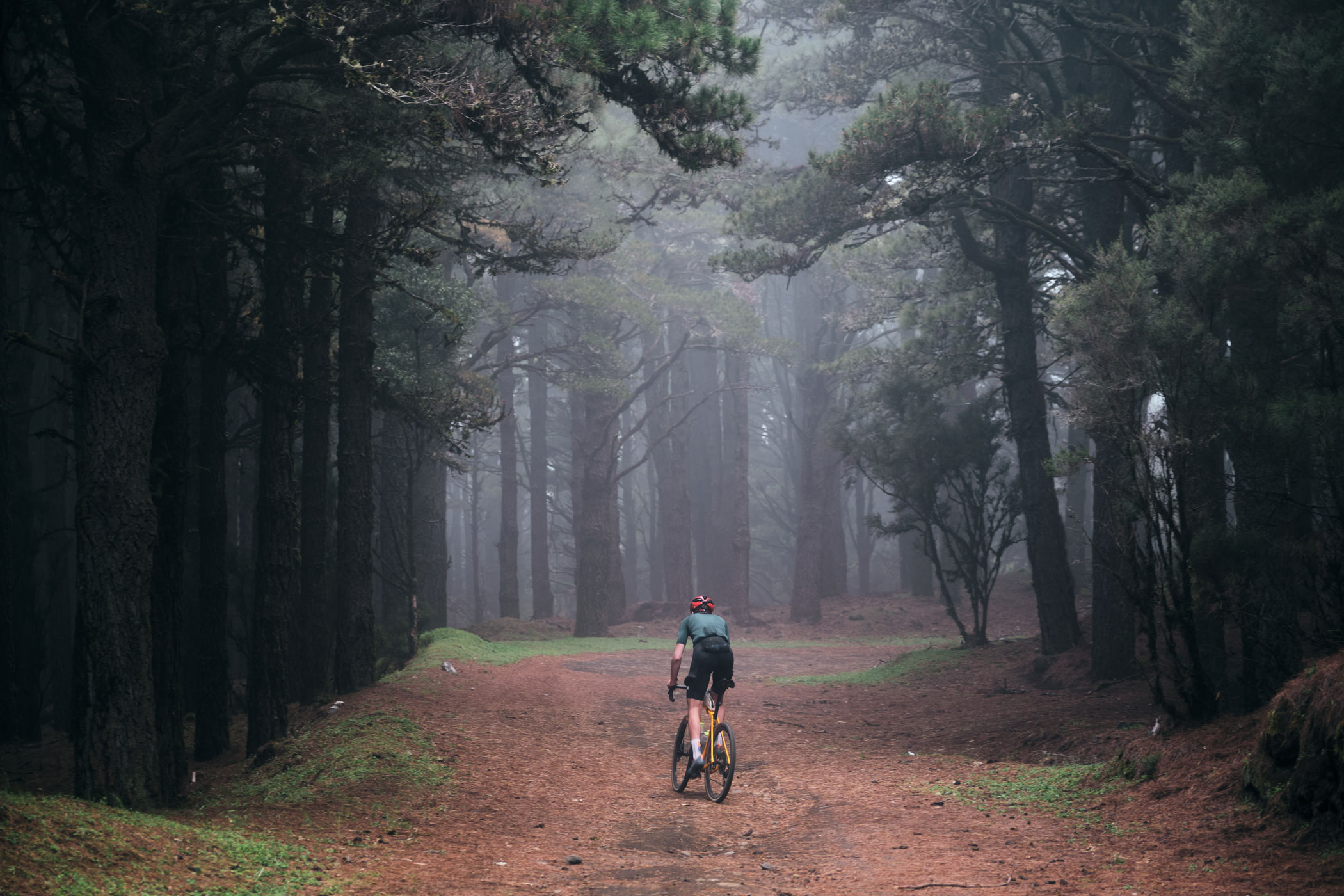 @matminelli_MMXT7073