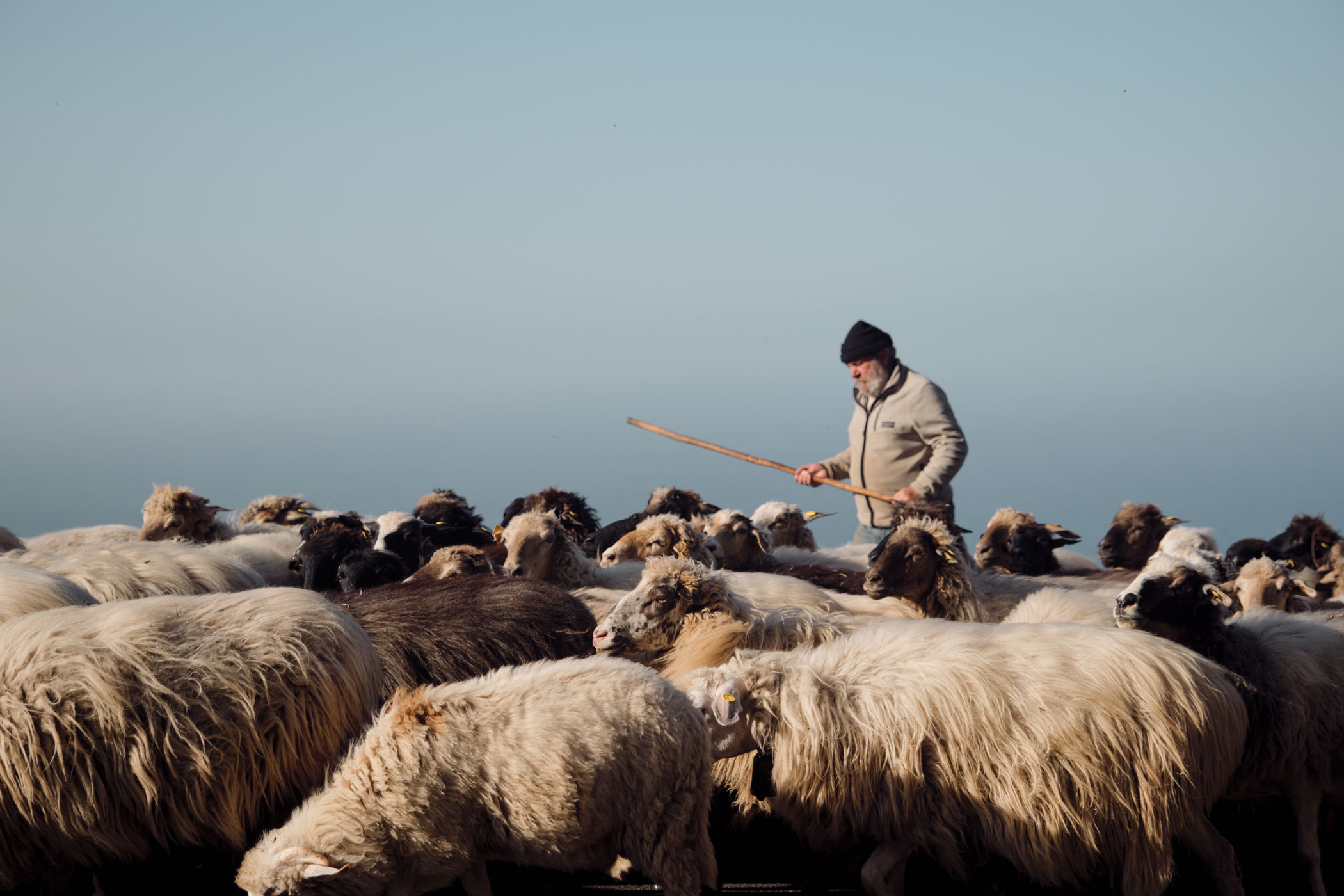 @matminelli_MMXT7903