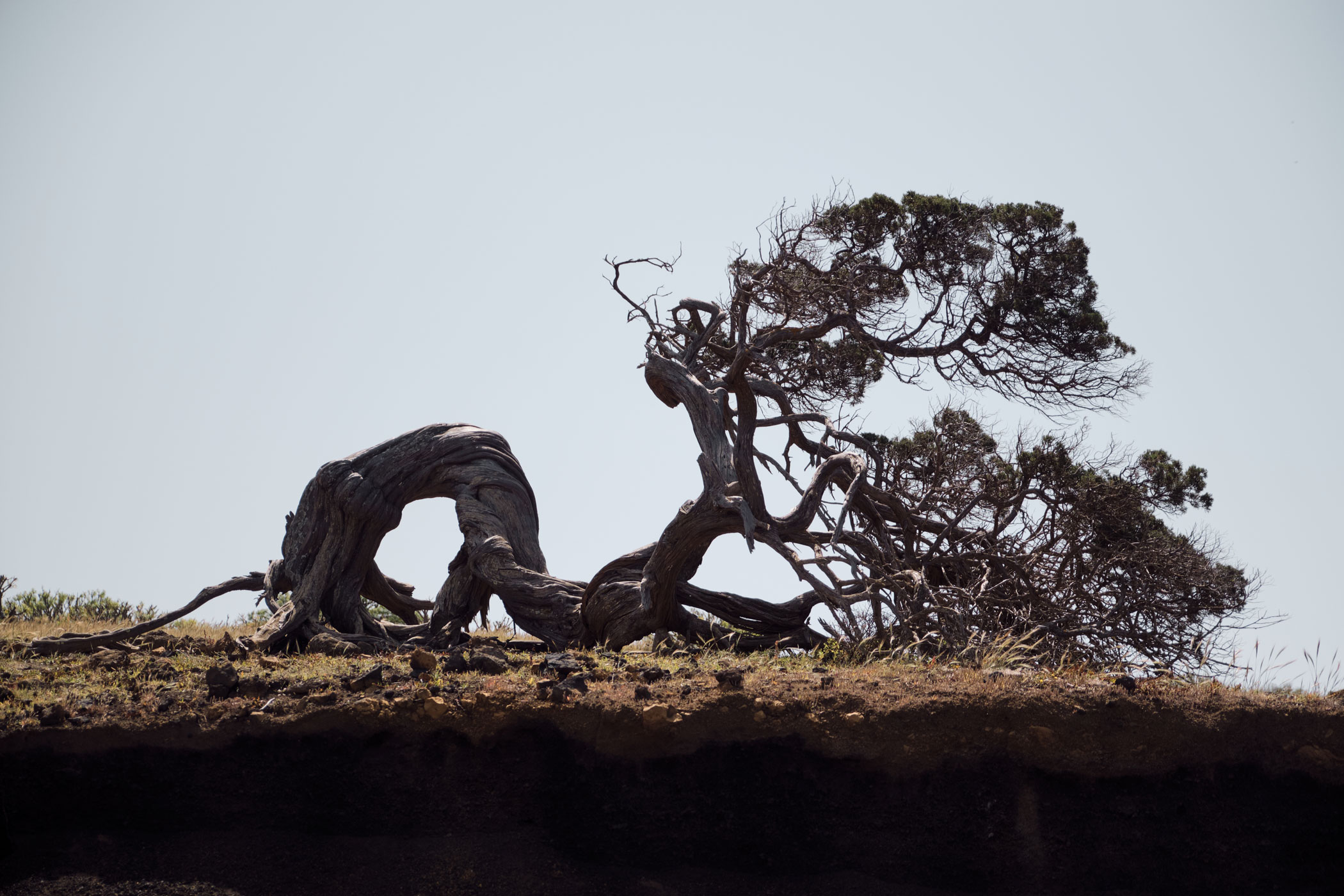 @matminelli_MMXT8011