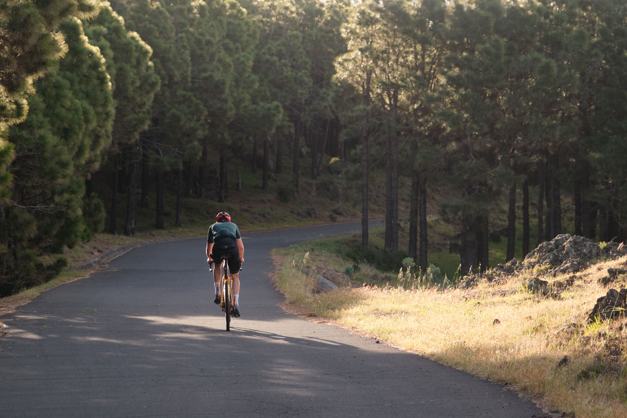 large@matminelli_MMXT7029